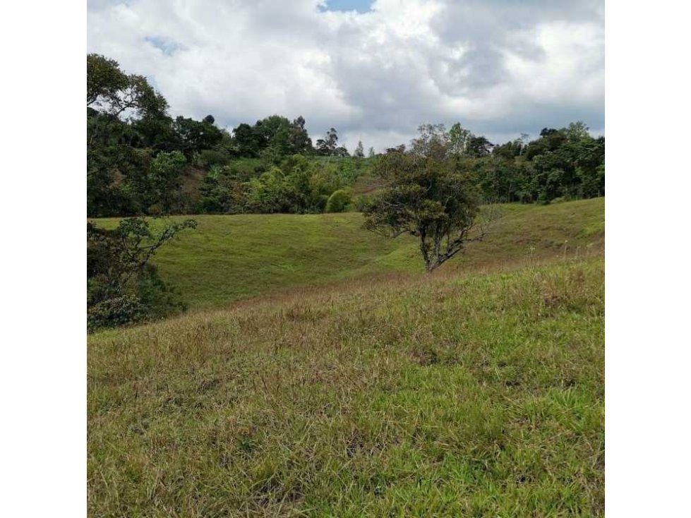 Vendo Finca Próximo a la playa en Guzmancito